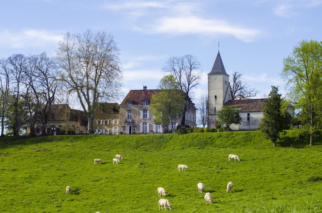 Chateau D'Orion Kültér fotó